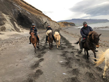 Iceland-West-Borgarnes Beach & Valleys